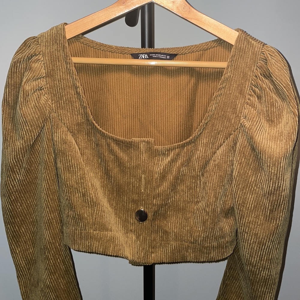 Zara Crop Velvet Blouse